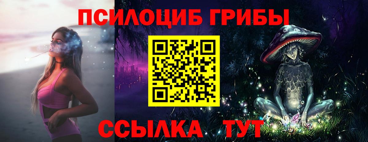 Псилоцибиновые грибы прущие грибы Щёкино