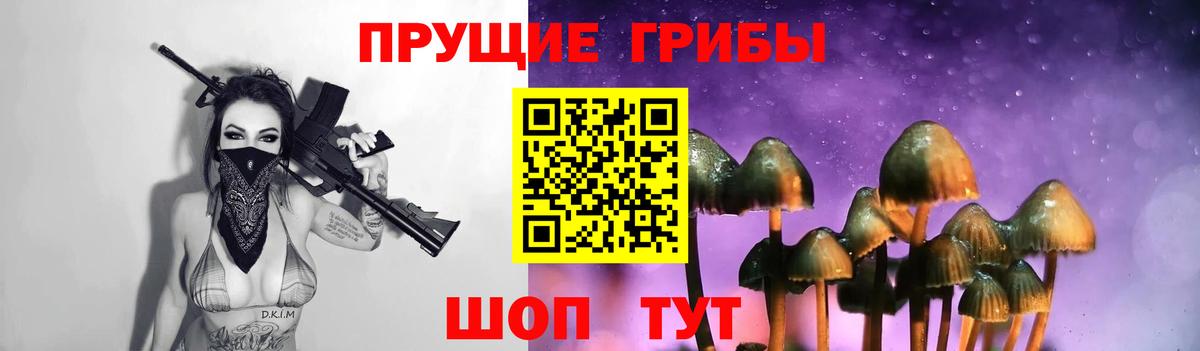 Щёкино  где можно купить   Вход с VPN  Галлюциногенные грибы Cubensis 